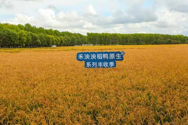 探索婴幼儿辅食市场高质量发展之路，为宝宝成长保驾护航